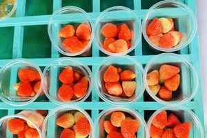 Một số loại thực phẩm có chỉ số đường huyết thấp tốt nhất để giảm cân