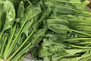 3 loại thực phẩm không nên hâm nóng lại vì không tốt cho sức khỏe