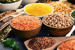 7 lợi ích sức khỏe tuyệt vời khi ăn đậu lăng mà bạn nên biết