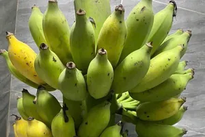 Tiêu thụ chuối trước khi đi ngủ có thực sự giúp ngủ ngon hơn không?