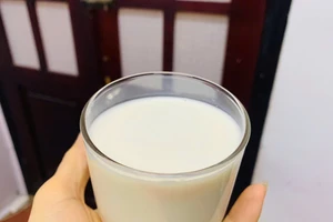 Sữa nguyên chất so với sữa tách béo: Loại sữa nào tốt hơn cho sức khỏe của bạn?