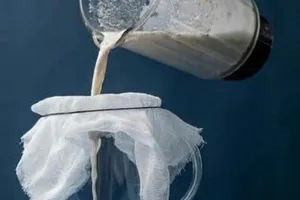 Sữa thực vật hay sữa bò: Loại nào tốt hơn cho sức khỏe?