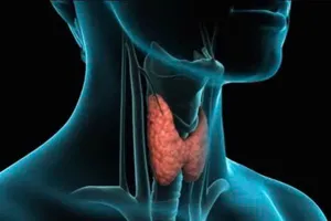 Thực phẩm tốt nhất và tệ nhất với sức khoẻ tuyến giáp