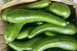 ‘Đánh bay’nỗi lo huyết áp cao với 6 thực phẩm quen thuộc này