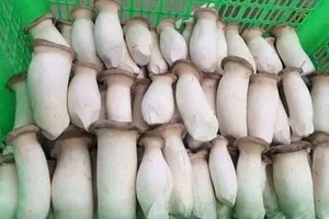 Loại thực phẩm quen thuộc giúp kiểm soát bệnh tiểu đường