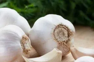 6 lầm tưởng về tỏi bạn đừng tin nếu không muốn hối hận