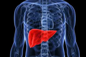 Giúp gan khỏe mạnh: 7 cách kết hợp thực phẩm hiệu quả, dễ tìm