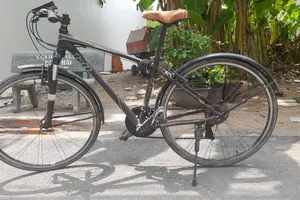 10 lợi ích sức khỏe bất ngờ khi đạp xe mỗi ngày đối với người trung niên