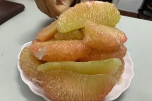 Điều gì xảy ra với huyết áp của bạn khi bạn ăn bưởi mỗi ngày?