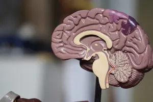 Dấu hiệu cảnh báo bệnh mất trí nhớ ở người trẻ tuổi