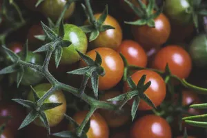 10 thực phẩm giúp giảm đau khớp, đánh bay viêm sưng