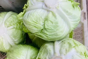 Tăng cường chức năng gan bằng rau xanh, bí quyết từ bác sĩ chuyên khoa tiêu hóa