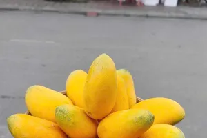 Điều gì xảy ra với lượng đường trong máu khi bạn ăn xoài mỗi ngày?