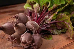 ​Phụ nữ trên 50 tuổi muốn trẻ lâu, hãy ăn 5 món này mỗi ngày