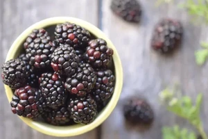 8 loại trái cây ít đường tốt cho người tiểu đường giúp ổn định đường huyết