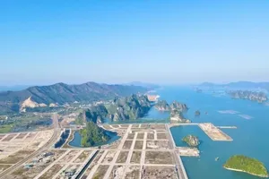 Bị phạt vì bình luận sai về 'Hòn non bộ lớn nhất Việt Nam'