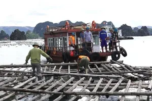 Tạm đình chỉ 4 cán bộ liên quan vụ nuôi thủy sản trái phép ở vịnh Bái Tử Long