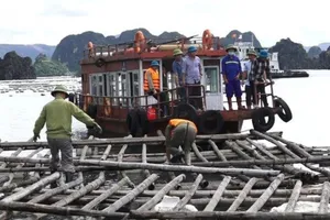 Quảng Ninh: Khai trừ ra khỏi Đảng 4 cán bộ nhận hối lộ