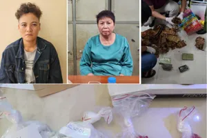 Chặt đứt đường dây ma túy liên tỉnh do ‘Yến ma’ điều hành