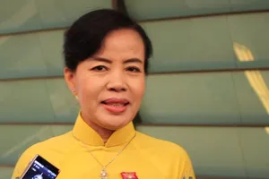 Bộ trưởng cũng mới, nên bauxite trả lời bằng văn bản