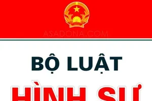97% đại biểu đồng ý 'lùi' Luật sửa đổi BLHS 2015