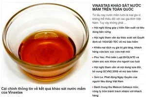 Tiếp tục kiểm tra sai phạm của Vinastas