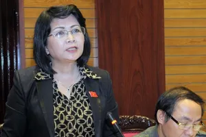 Phó Chủ tịch nước đề cập vụ Đồng Tâm, Mỹ Đức