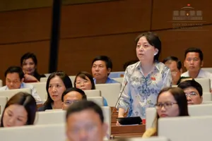 'Không có vũ khí thì chỉ thanh tra giấy thôi'