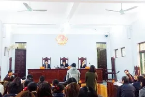 Xét xử vụ thiếu trách nhiệm gây thất thoát hàng tỉ đồng