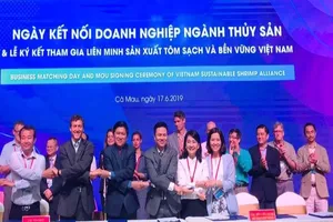 Con tôm sạch Việt Nam sẽ có 'visa' đi khắp thế giới?