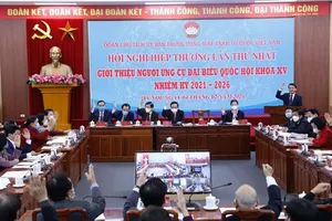 4 người ngoài Đảng, 16 GS, PGS ứng cử ĐBQH ở Trung ương