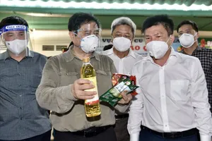 Cần nói rõ sẽ thay thế nội dung nào trong Chỉ thị 15, 16, 19