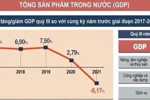 Mức tăng trưởng GDP quý III là âm 6,17%