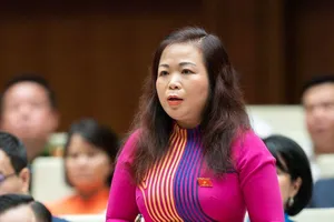 Địa phương hỏi thì bộ ngành trả lời 'cứ thực hiện theo quy định'