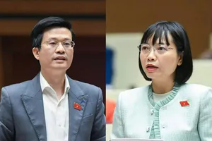 ĐB Đỗ Chí Nghĩa (trái) đề nghị cần đánh giá tác động việc sáp nhập các cơ quan báo chí, còn ĐB Nguyễn Thị Việt Nga (phải) lại cho rằng cần thực hiện nghiêm, không cần "khuyến khích"