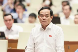 Phó Thủ tướng Trần Lưu Quang: 'Có tâm lý hoa thơm mỗi người hưởng một tý'