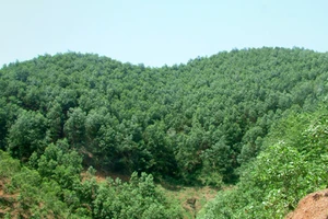 Bảng giá các loại đất nông nghiệp, thủy sản