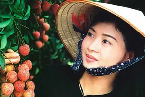 Nhớ mùa vải Huế