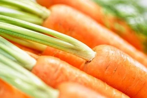 Ăn cà rốt hàng ngày: Cực tốt!