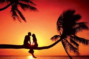 Trị chứng chán ăn bằng “Hormon yêu”