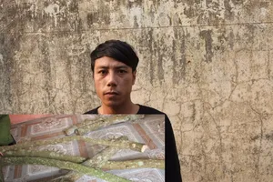 Thuê người câm, điếc đi chặt trộm sưa