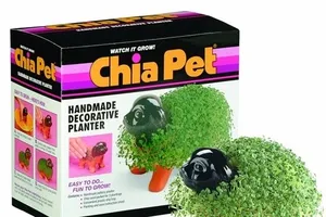 10 món đồ kỳ lạ bán chạy nhất tại Mỹ