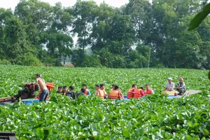 Đùa giỡn làm lật ghe, 4 người mất tích