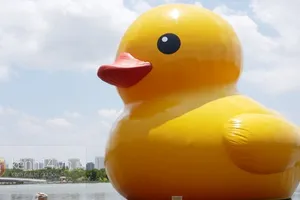 Chú vịt vàng khổng lồ đã tới Việt Nam