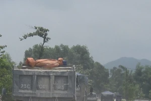 Xe tải ùn ùn né trạm, đường rung như động đất