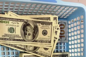 Bị bắt vì mang trái phép 60.000 USD qua sân bay