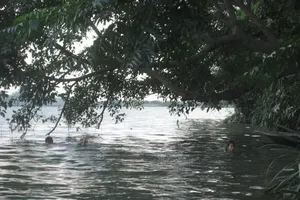 Tắm sông năm trẻ bị chết đuối