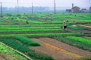 Nghị định mới quy định về giá đất