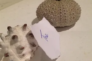 Mẩu giấy rách được đấu giá hơn 700 triệu đồng