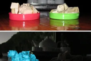 Thông tin giò lụa phát sáng là chính xác